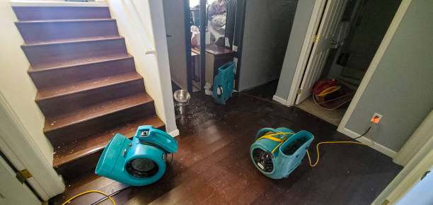 Best 24/7 water damage repair  in Town N Country, FL
