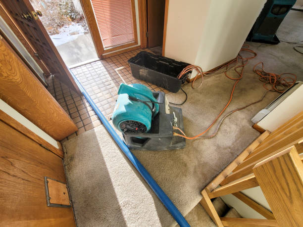 Best Commercial water damage restoration  in Town N Country, FL