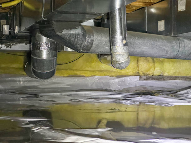 Best Water damage restoration cost  in Town N Country, FL