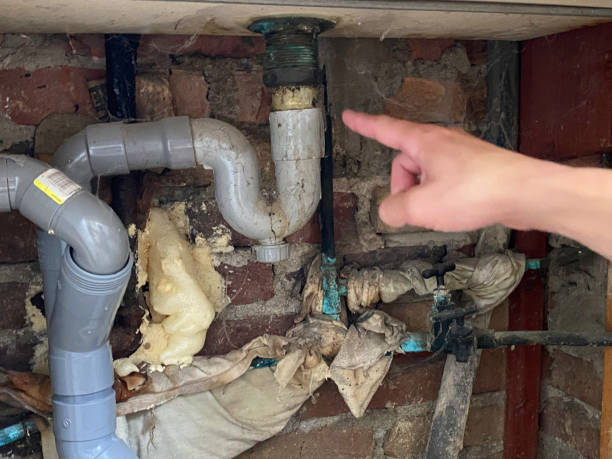 Best Water damage restoration company  in Town N Country, FL